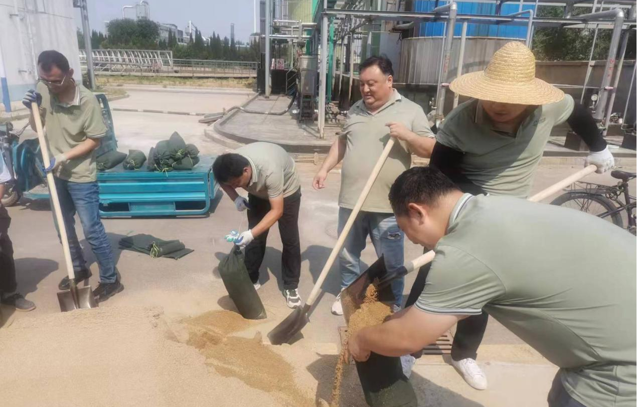 1724891438902.png 2.png