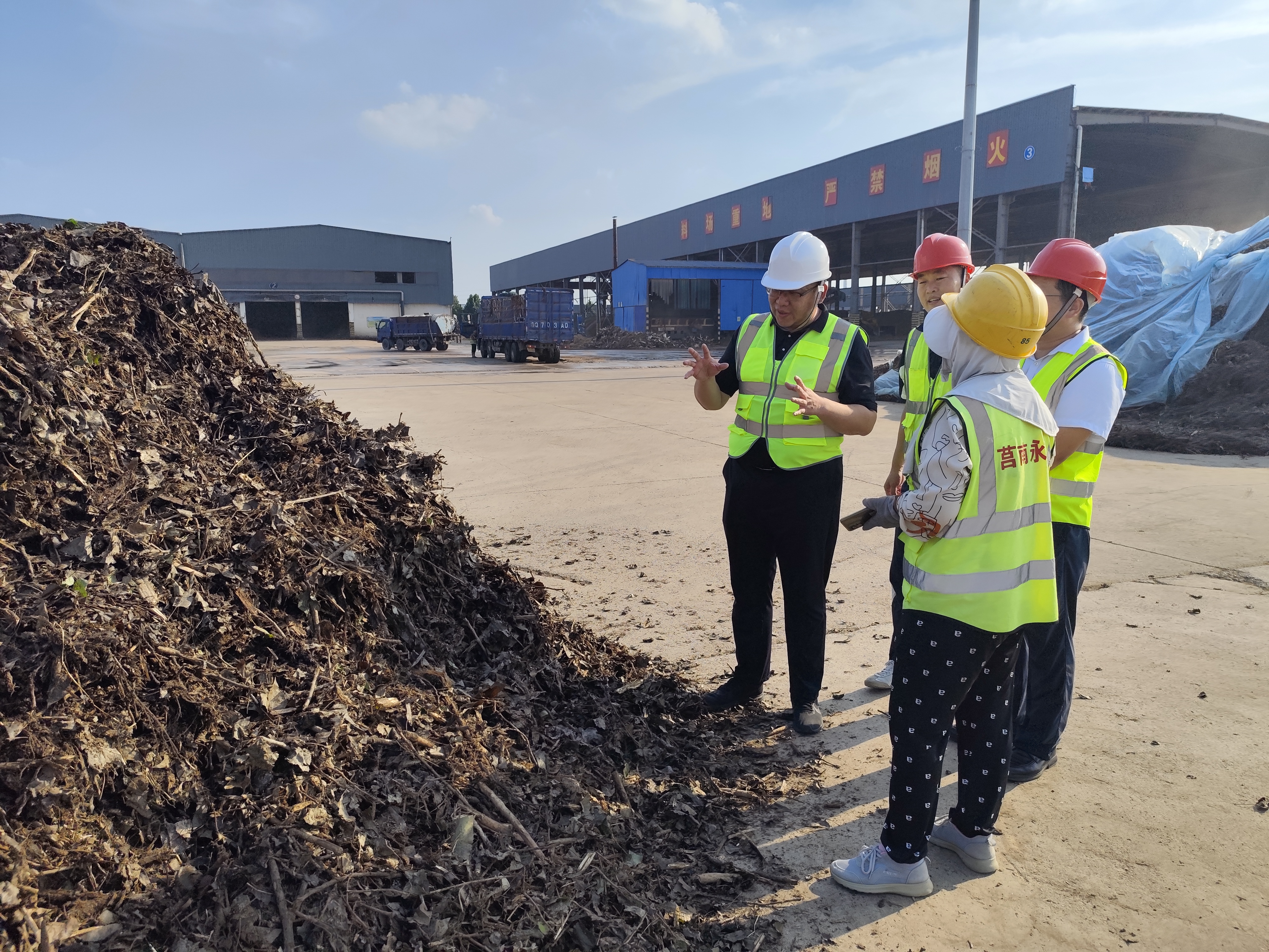 1756226487339.jpg 1.jpg